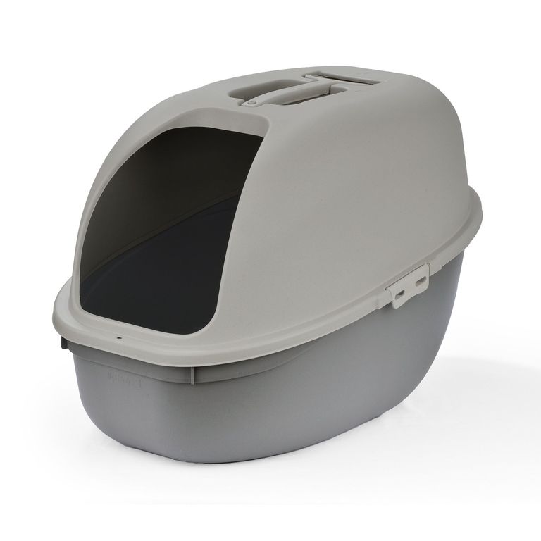 arenero para gatos Homecenter