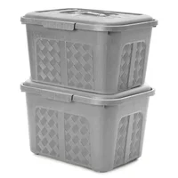 Set X2 Cajoneras o Cajas Plásticas Organizadoras con Tapa 6L Gris