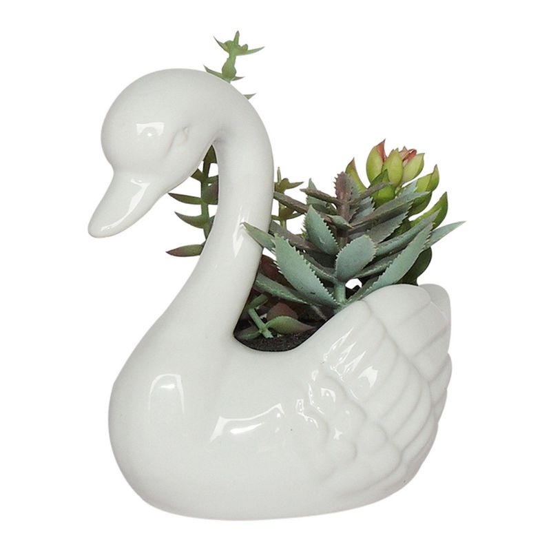  - Matera Cisne Suculenta Cerámica 15x13 Cm Multicolor Jardín