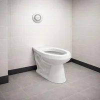 Combo Institucional Taza Adriática Plus Entrada Posterior Alongada a Piso con Válvula Push en Pared Antivandálica y Asiento Forte Corona