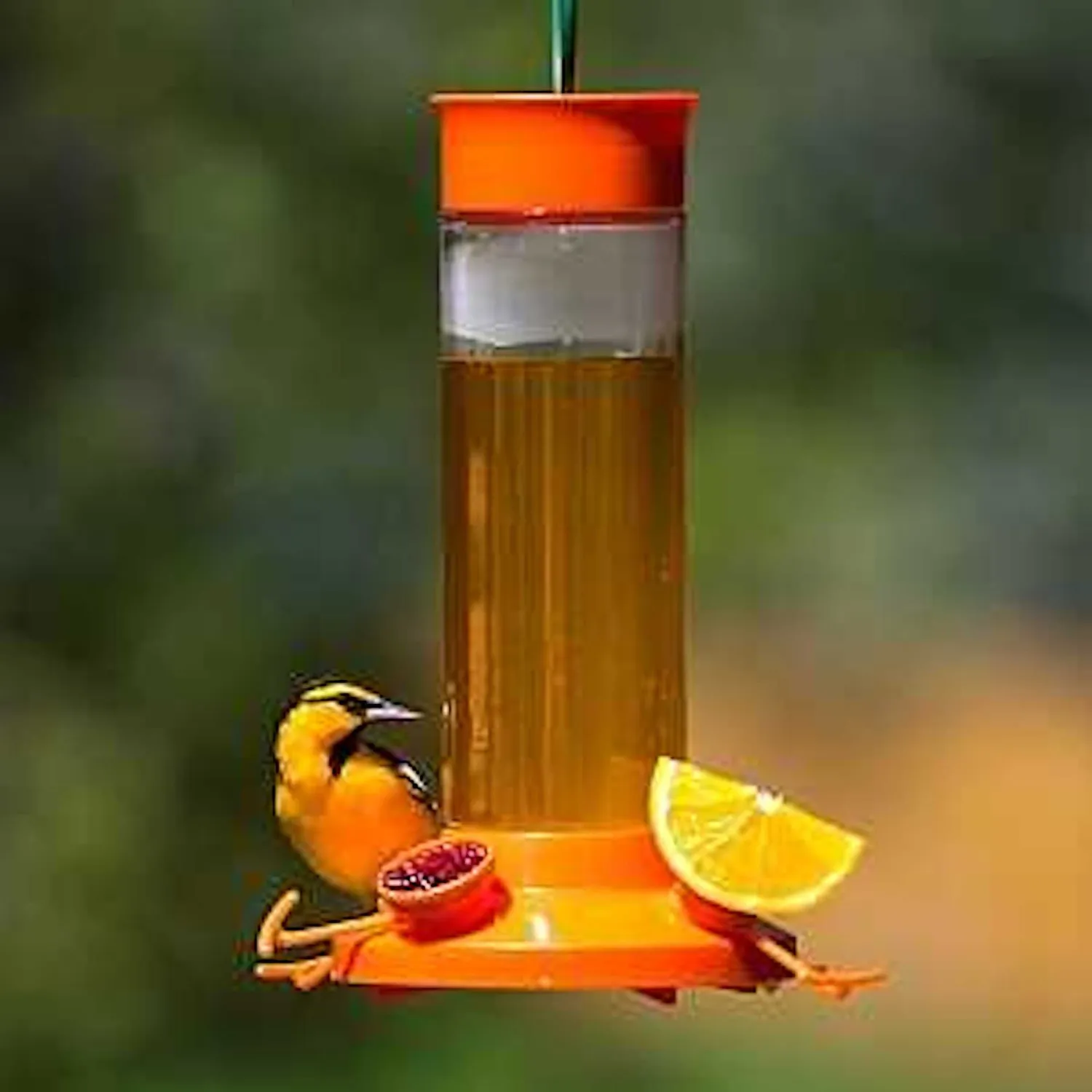 Comedero para Pájaros Oropéndola Vidrio 0.849 kg