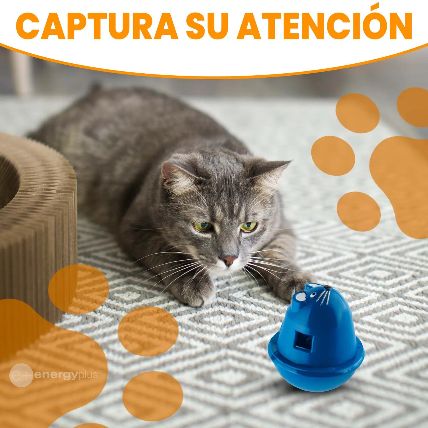 Juguete Para Gatos Speedy Giratorio Estimulador Azul 4