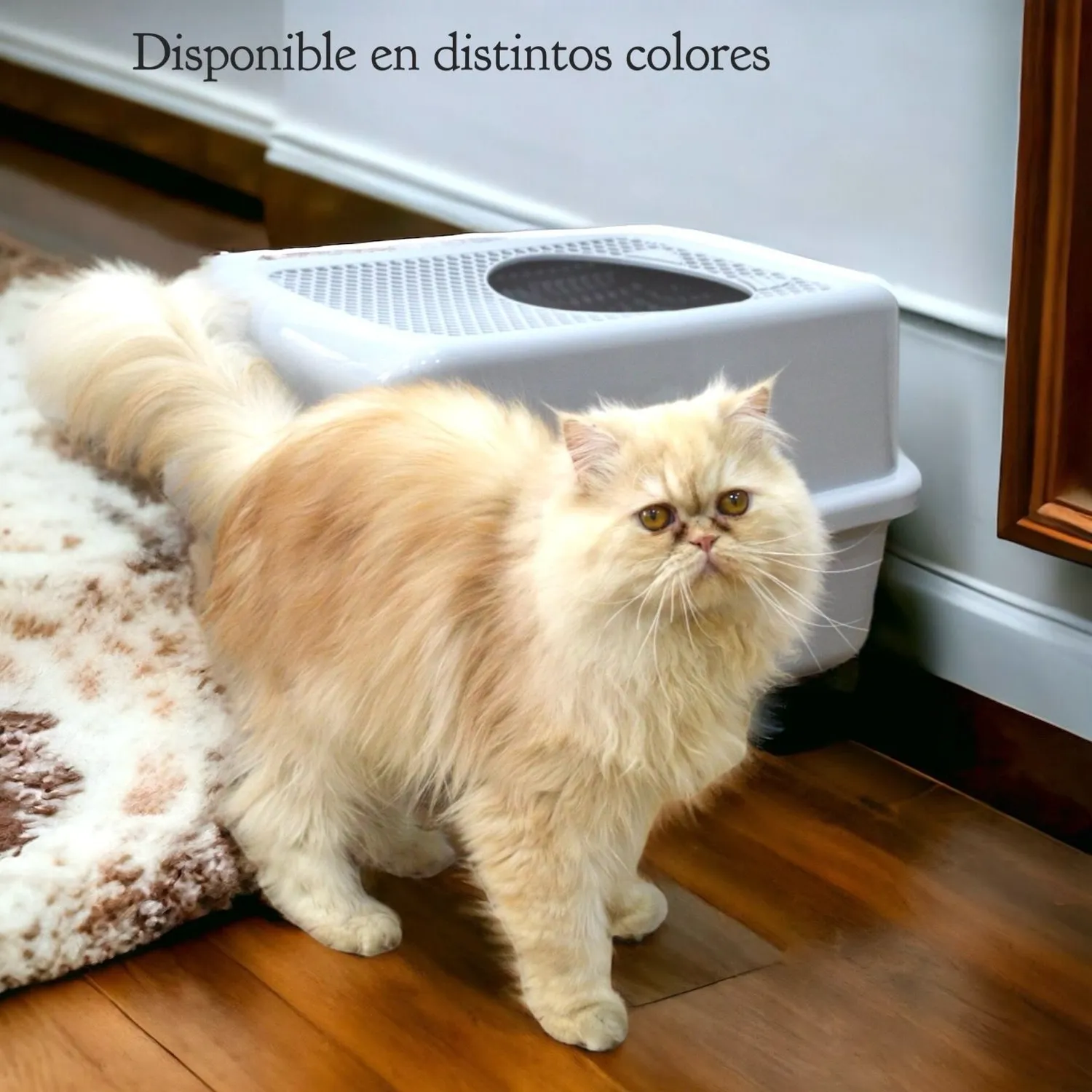 Arenera cubierta gigante para gato plástica entrada/salida superior azul colmascotas