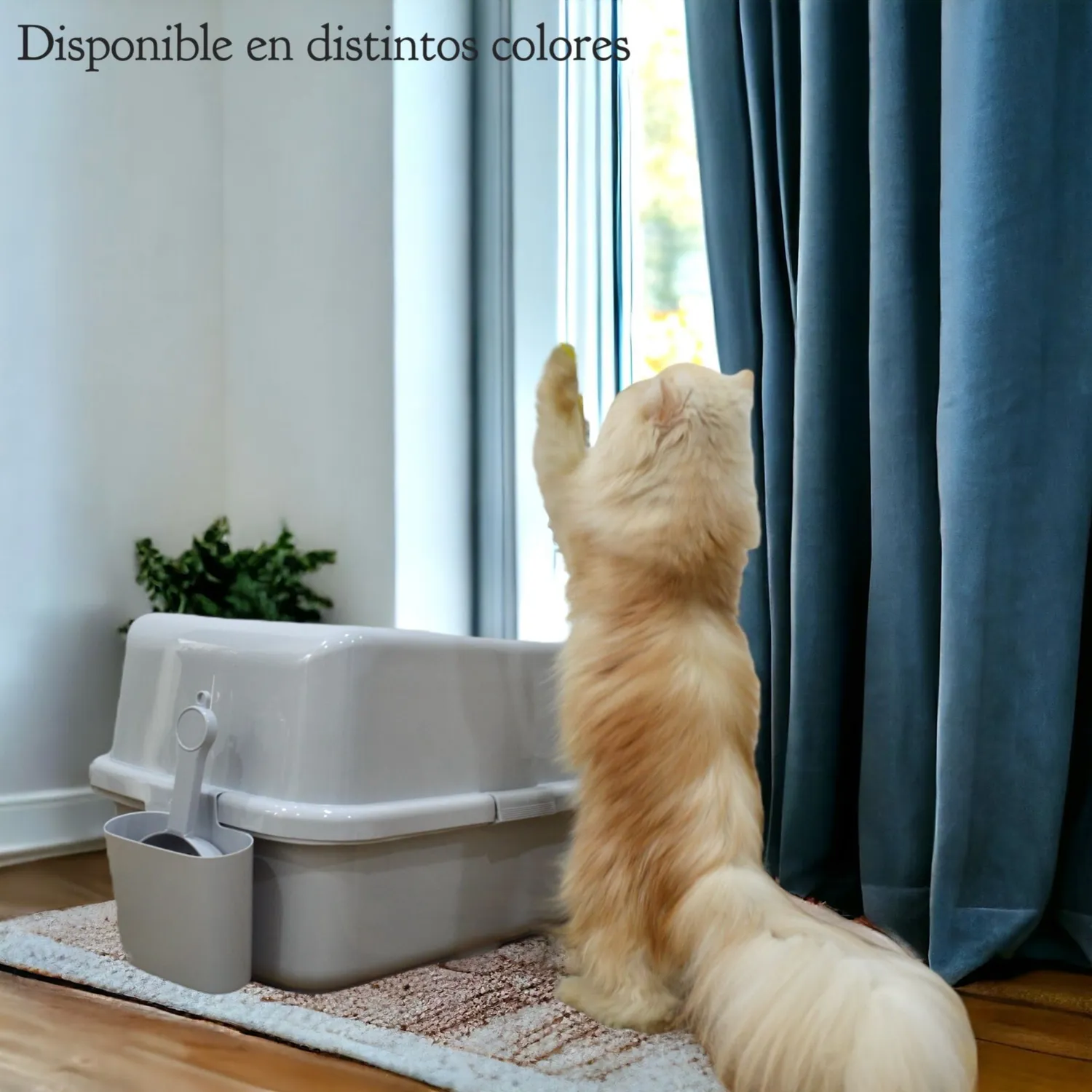 Arenera cubierta gigante para gato plástica entrada/salida superior azul colmascotas 3
