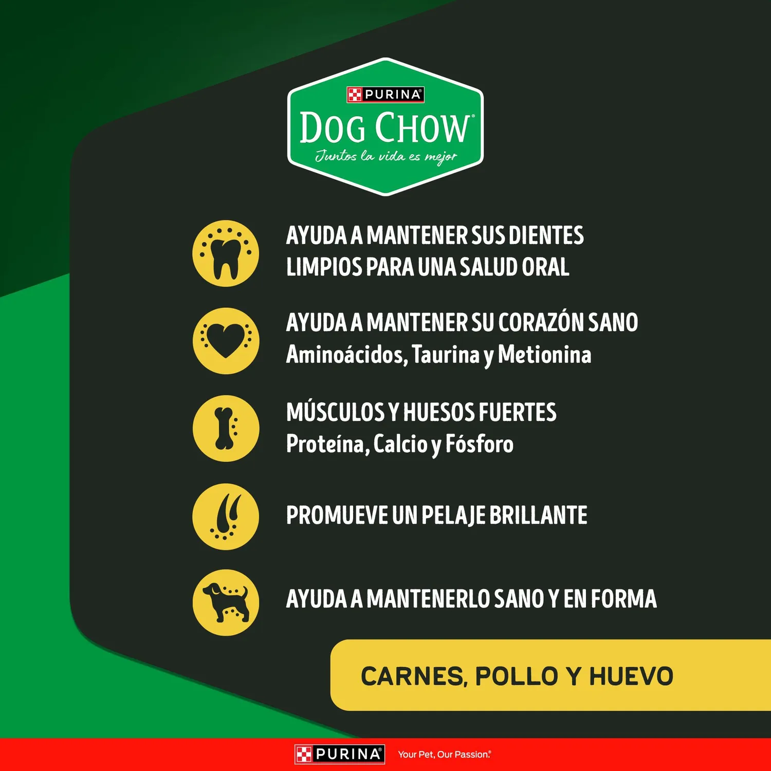 Comida Seca Perros Dog Chow Alta Proteina 2kg Dog Chow 4