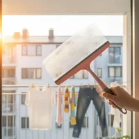 Limpiavidrios Punta Plastica