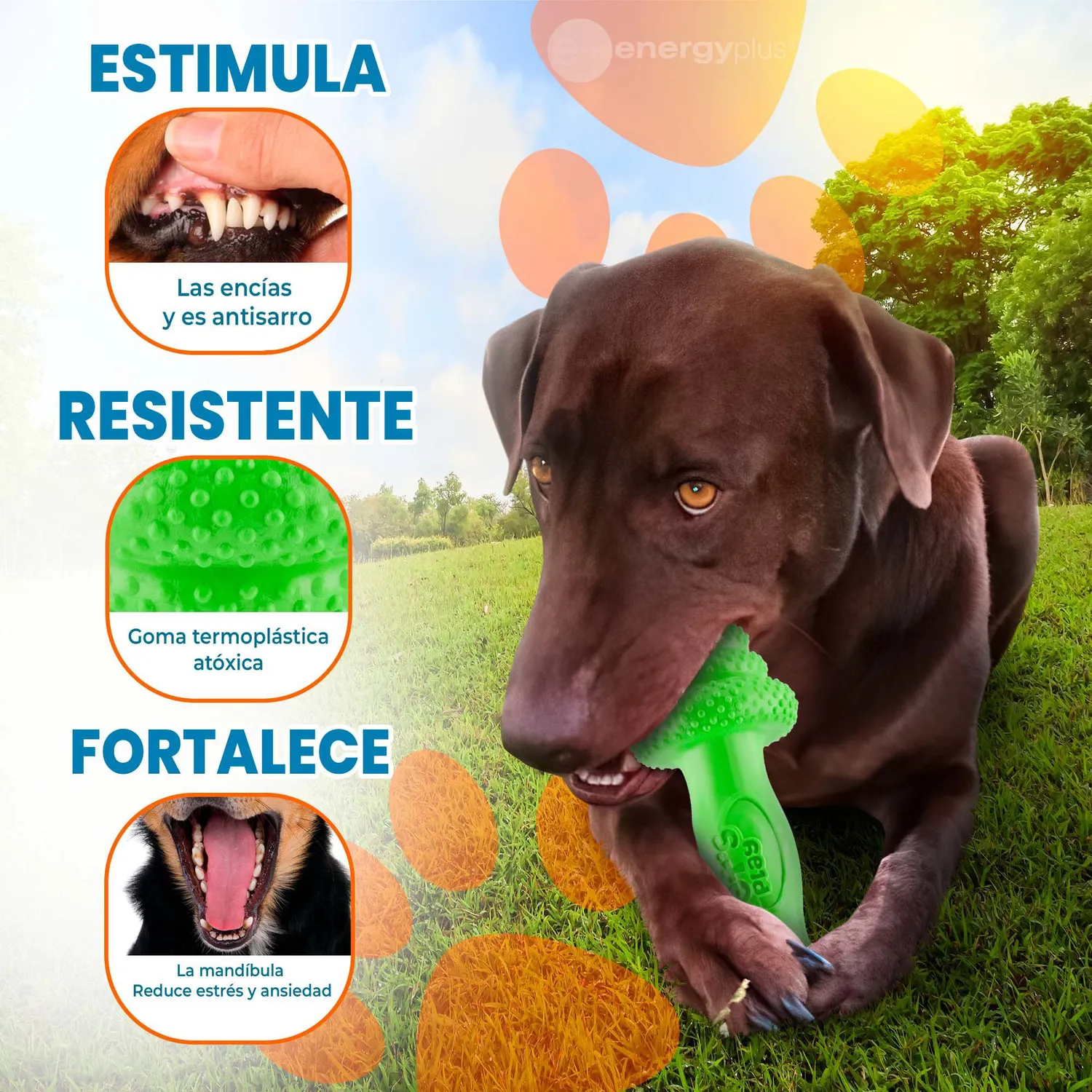 Juguete Para Perro Mordedor Pesa Maciza Grandes Verde 3
