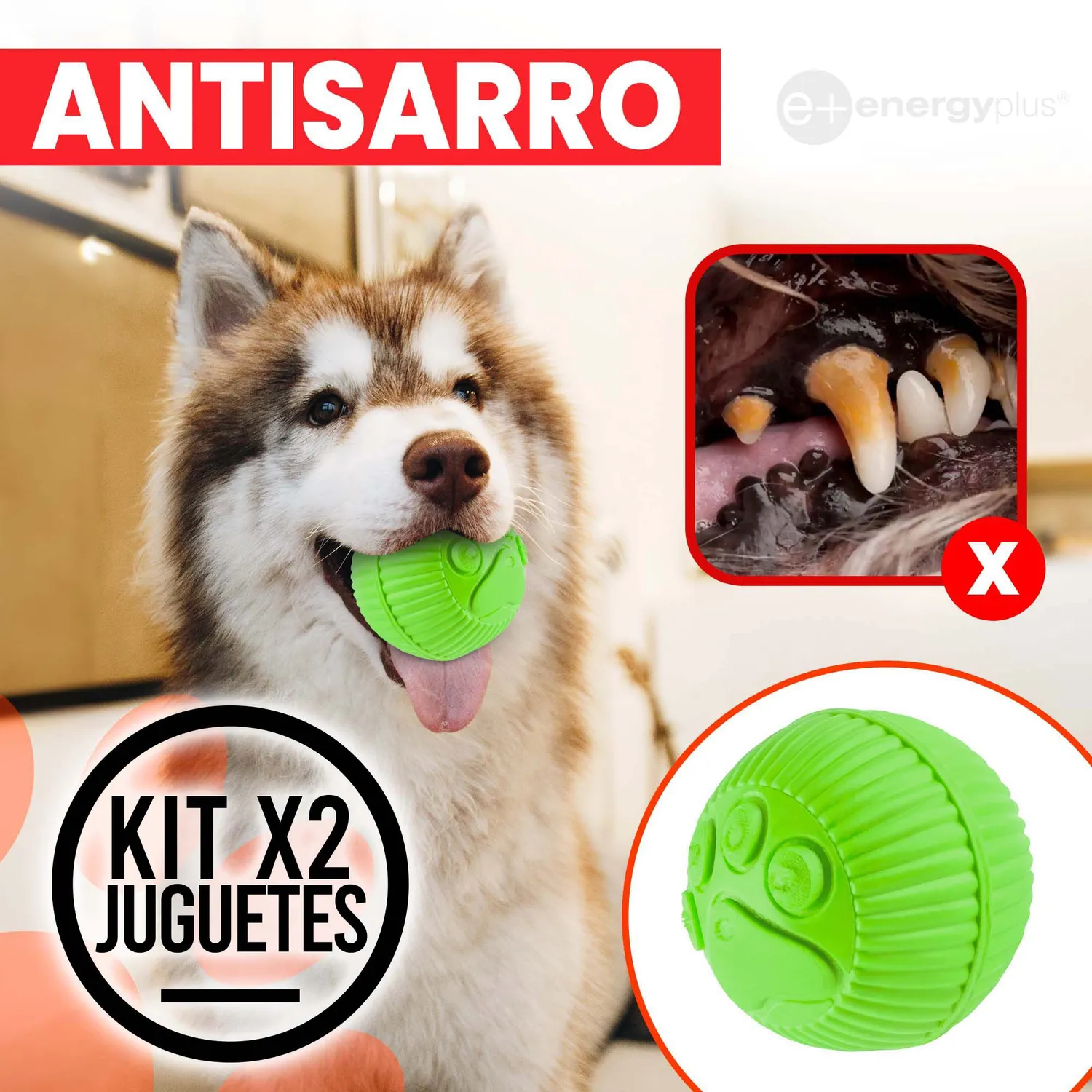 2 Juguetes Para Perro : Pelota Lanzadora. Mordedora Naranja Verde