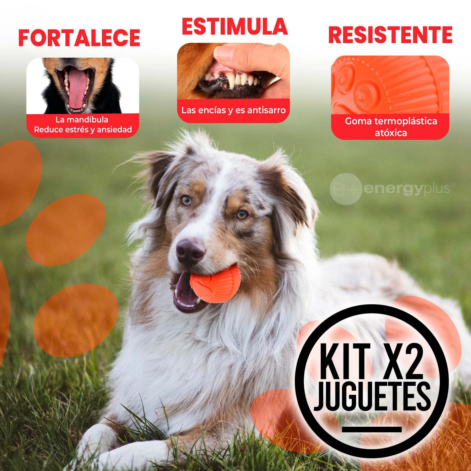 2 Juguetes Para Perro : Pelota Lanzadora. Mordedora Naranja Verde 3