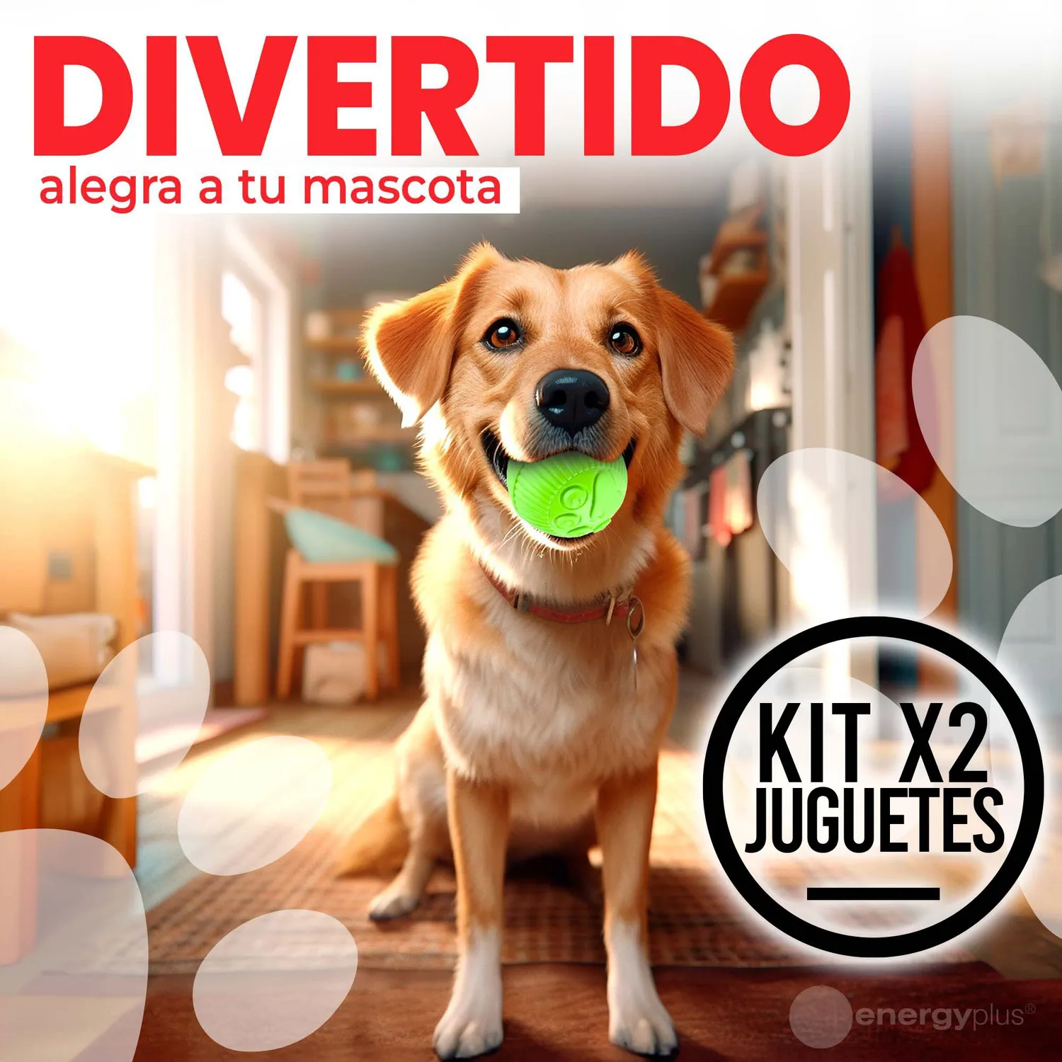 2 Juguetes Para Perro : Pelota Lanzadora. Mordedora Naranja Verde 4
