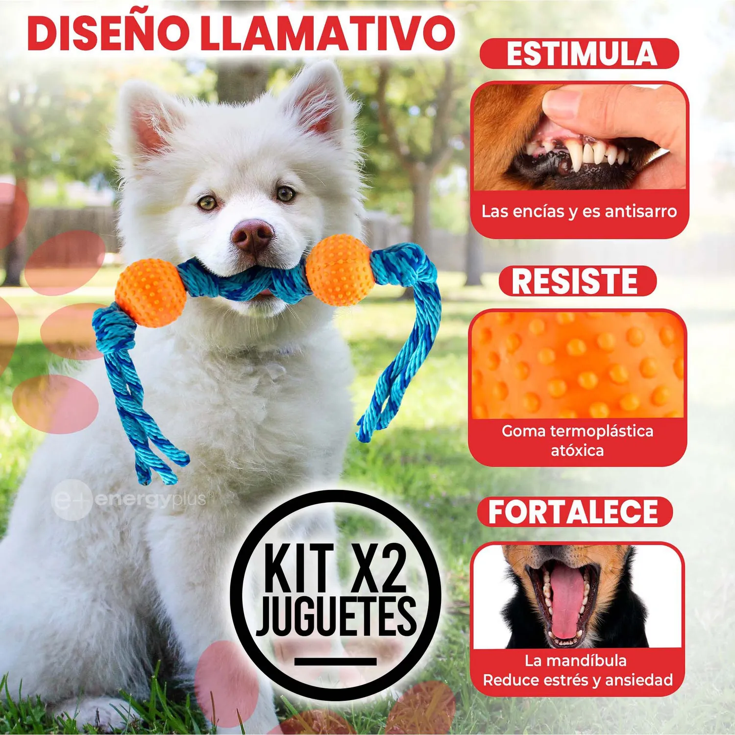 2 Juguetes Para Perro  Pelotas y Cuerda Antisarro Naranja Verde 3