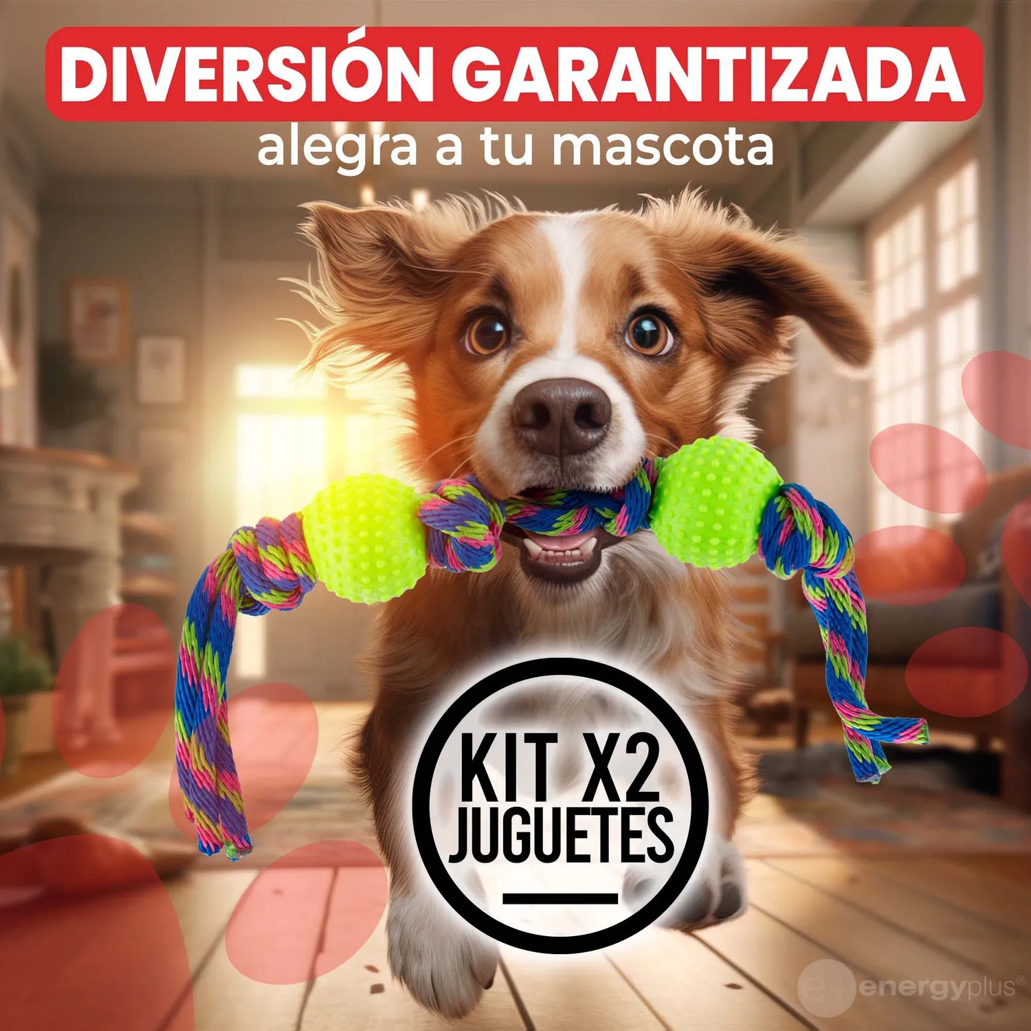 2 Juguetes Para Perro  Pelotas y Cuerda Antisarro Naranja Verde 4