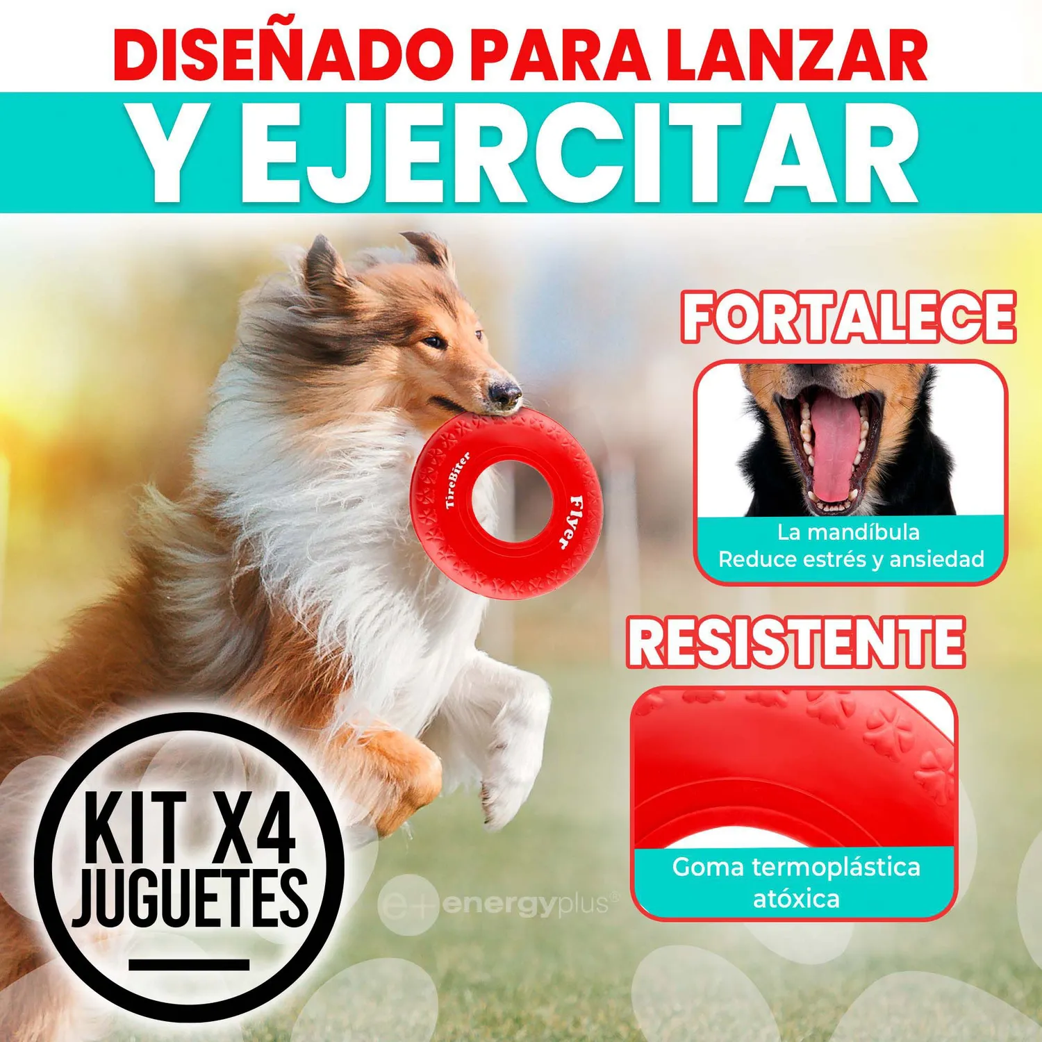 4 Frisbee Goma Segura Para Perro: Ideal Adiestramiento 3