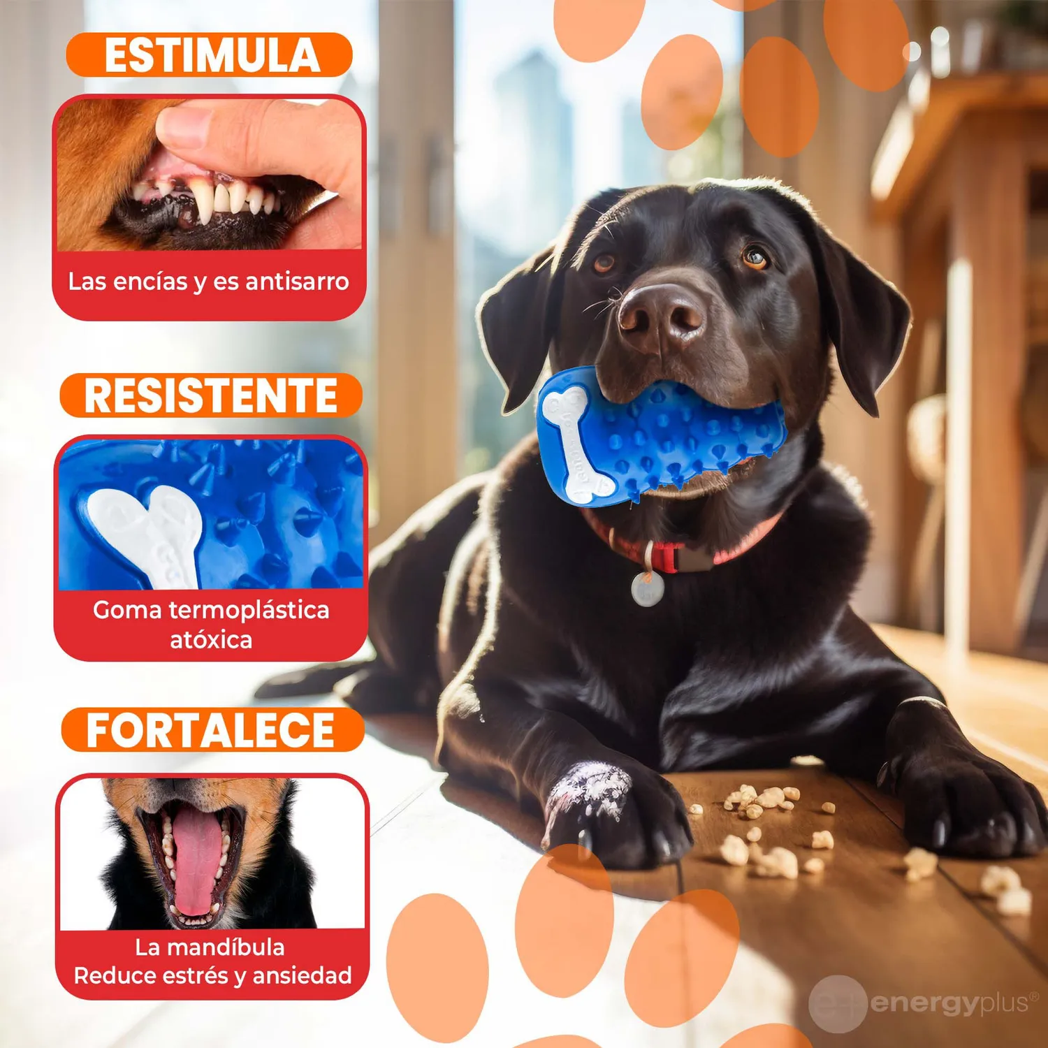 Juguete Para Perro Dispensador Azul 3