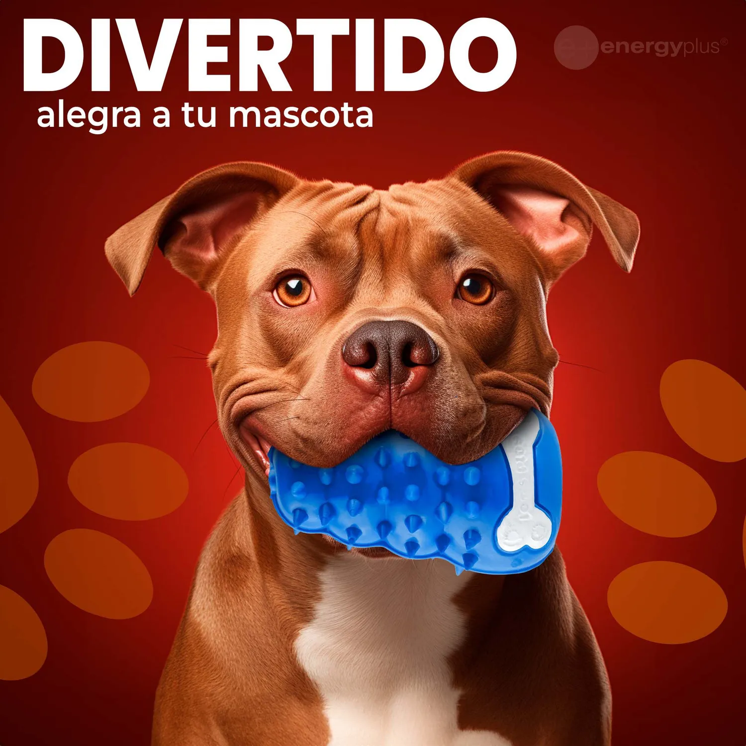 Juguete Para Perro Dispensador Azul 4