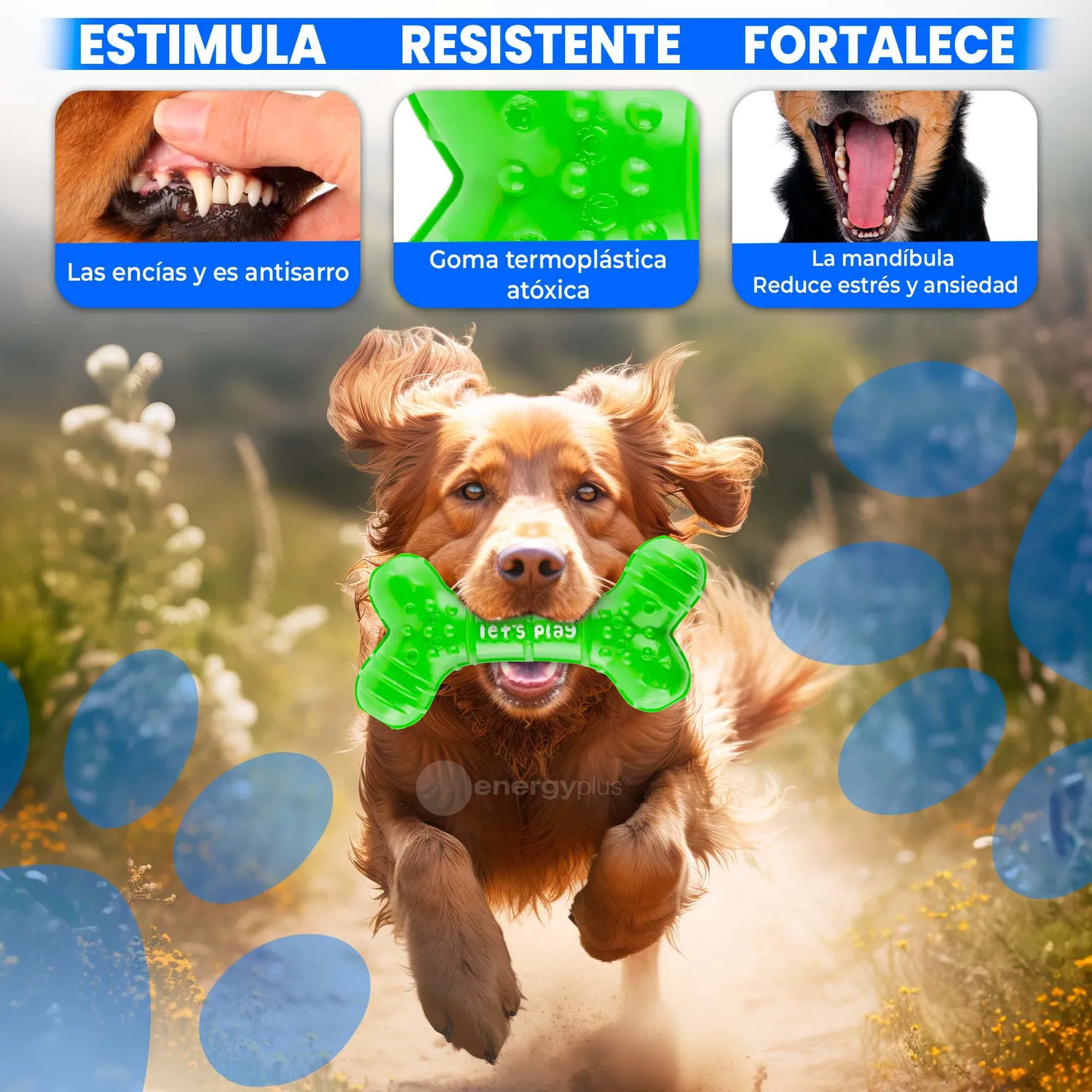 Juguete Para Perro Mordedor Dental Hueso Goma Med Verde 3
