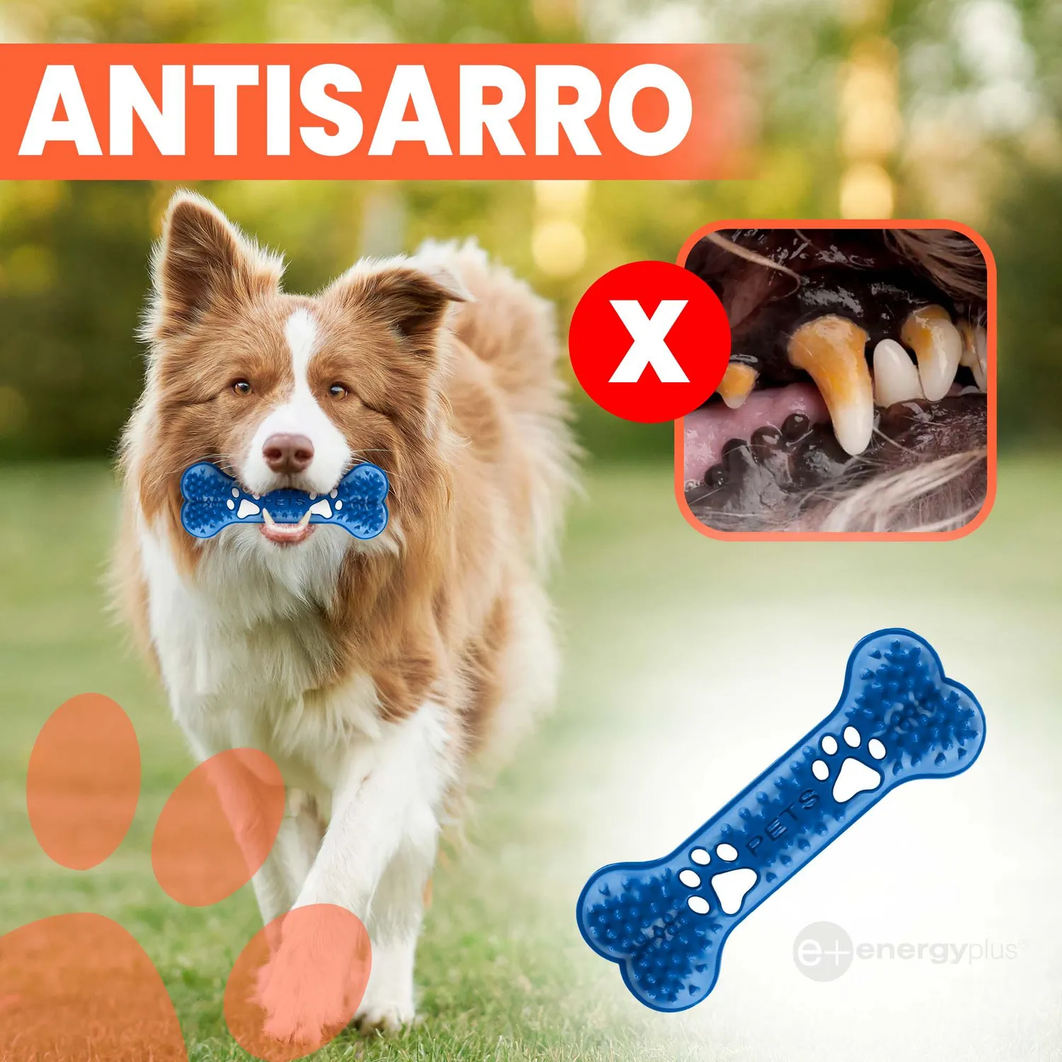 Hueso Mordedor Perros Med. Anti-sarro Azul
