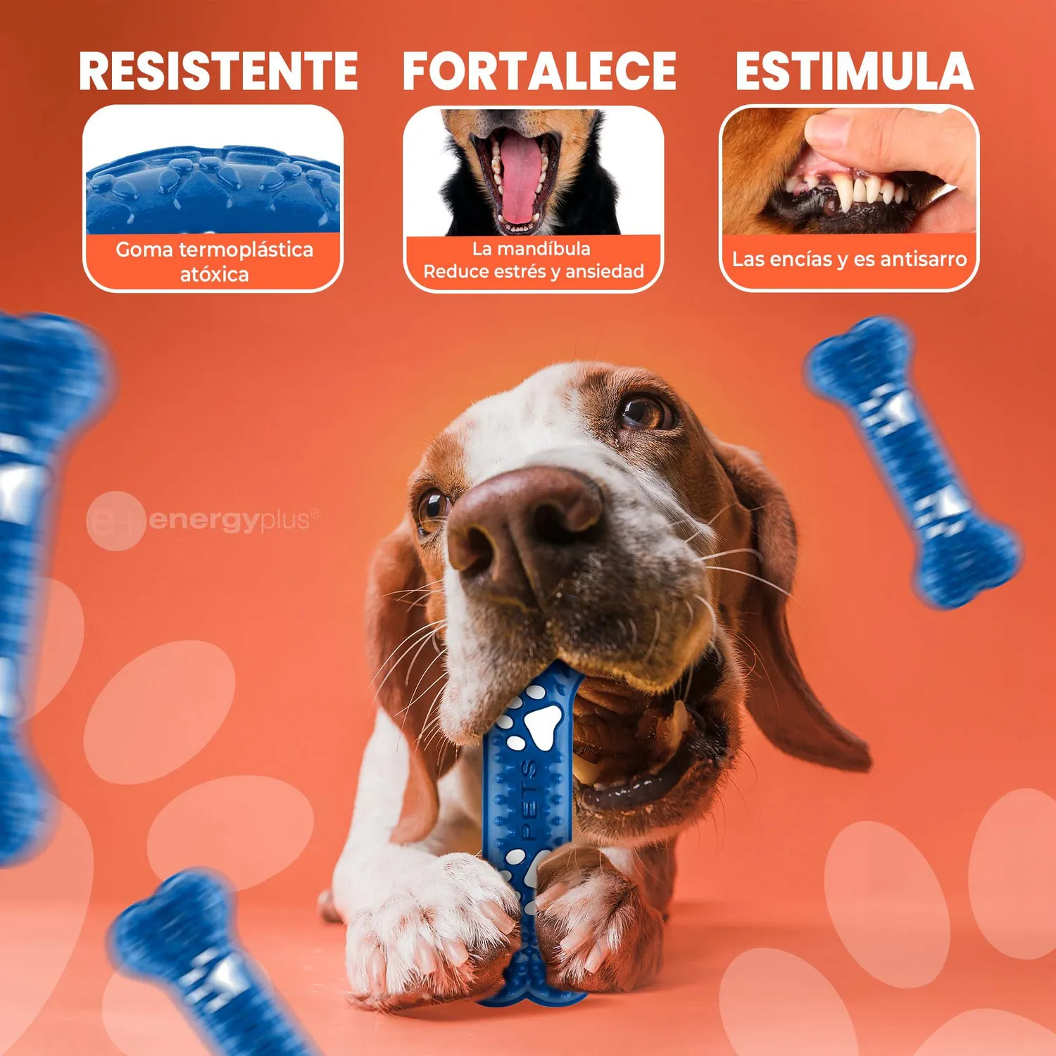 Hueso Mordedor Perros Med. Anti-sarro Azul 3