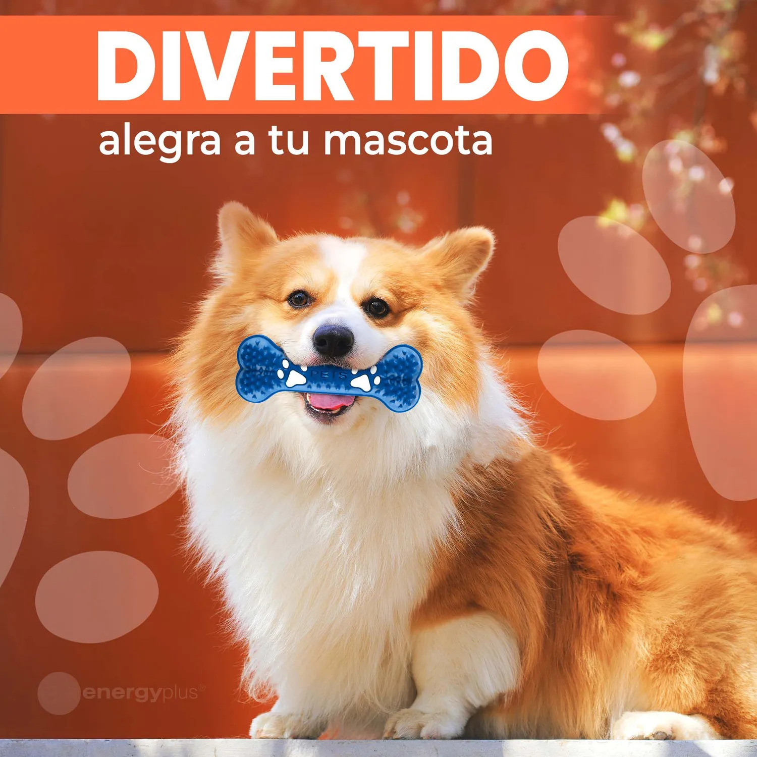 Hueso Mordedor Perros Med. Anti-sarro Azul 4