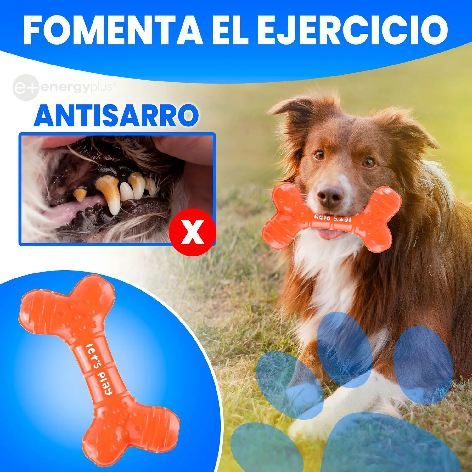Juguete Para Perro Mordedor Dental Hueso Goma  Med Naranja