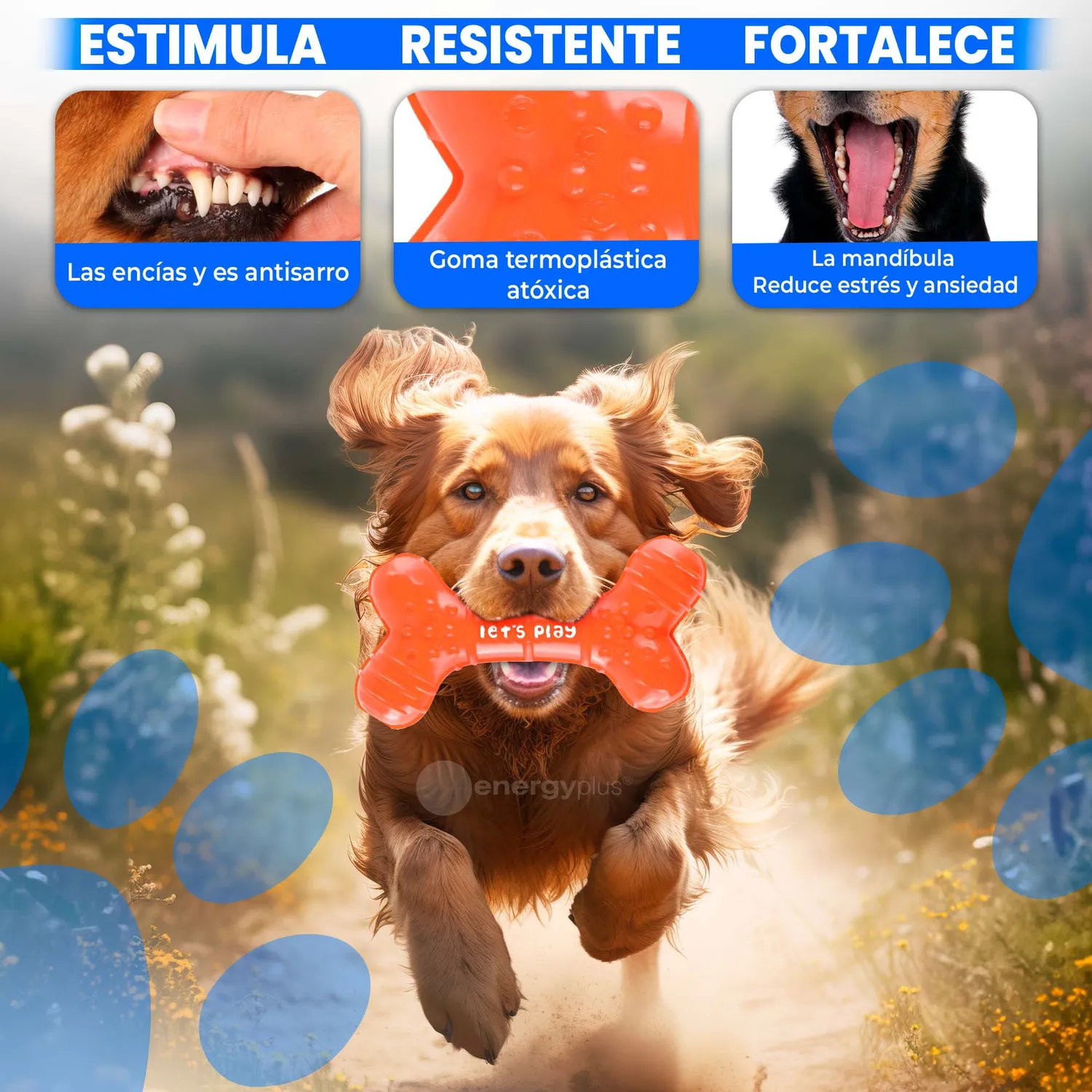 Juguete Para Perro Mordedor Dental Hueso Goma  Med Naranja 3