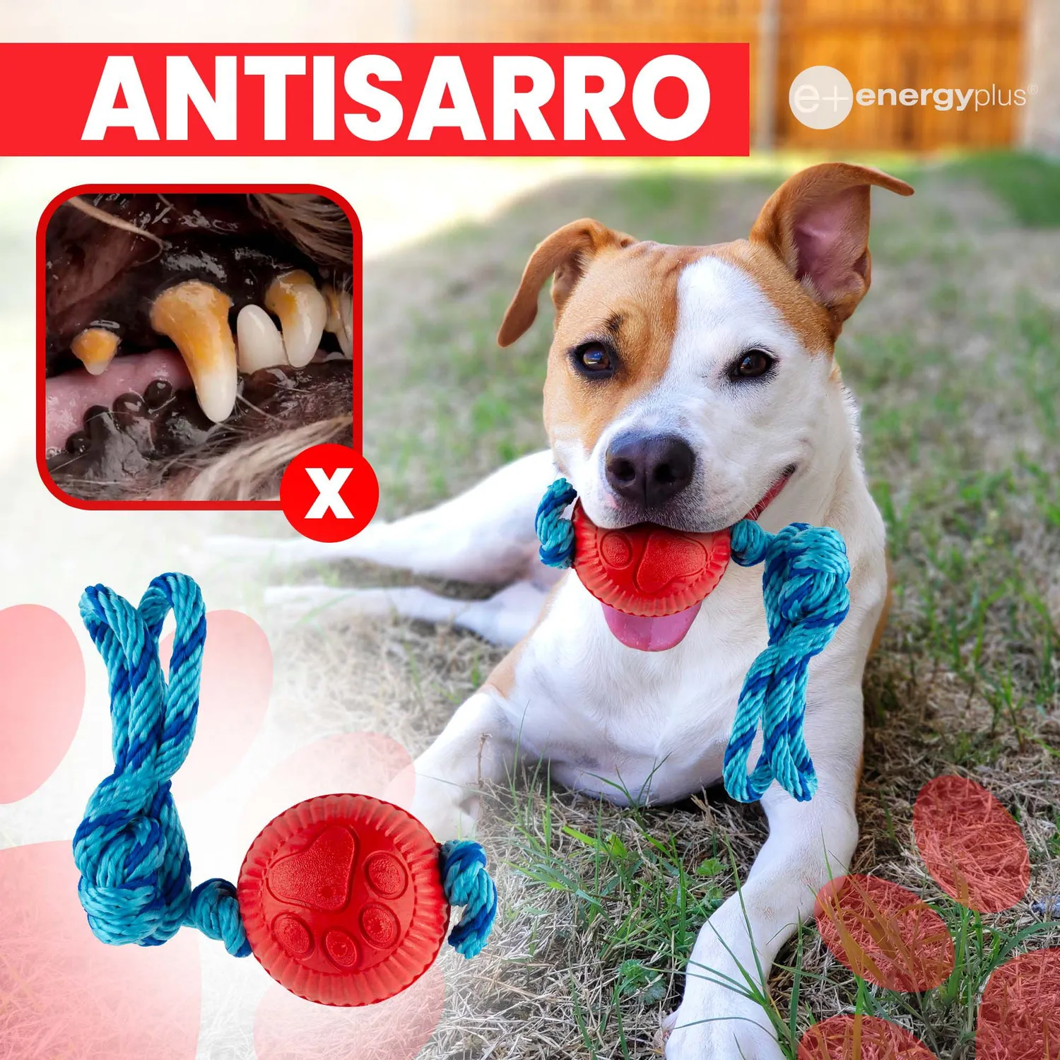 Juguete Para Perro Pelota Y Cuerda Med Rojo