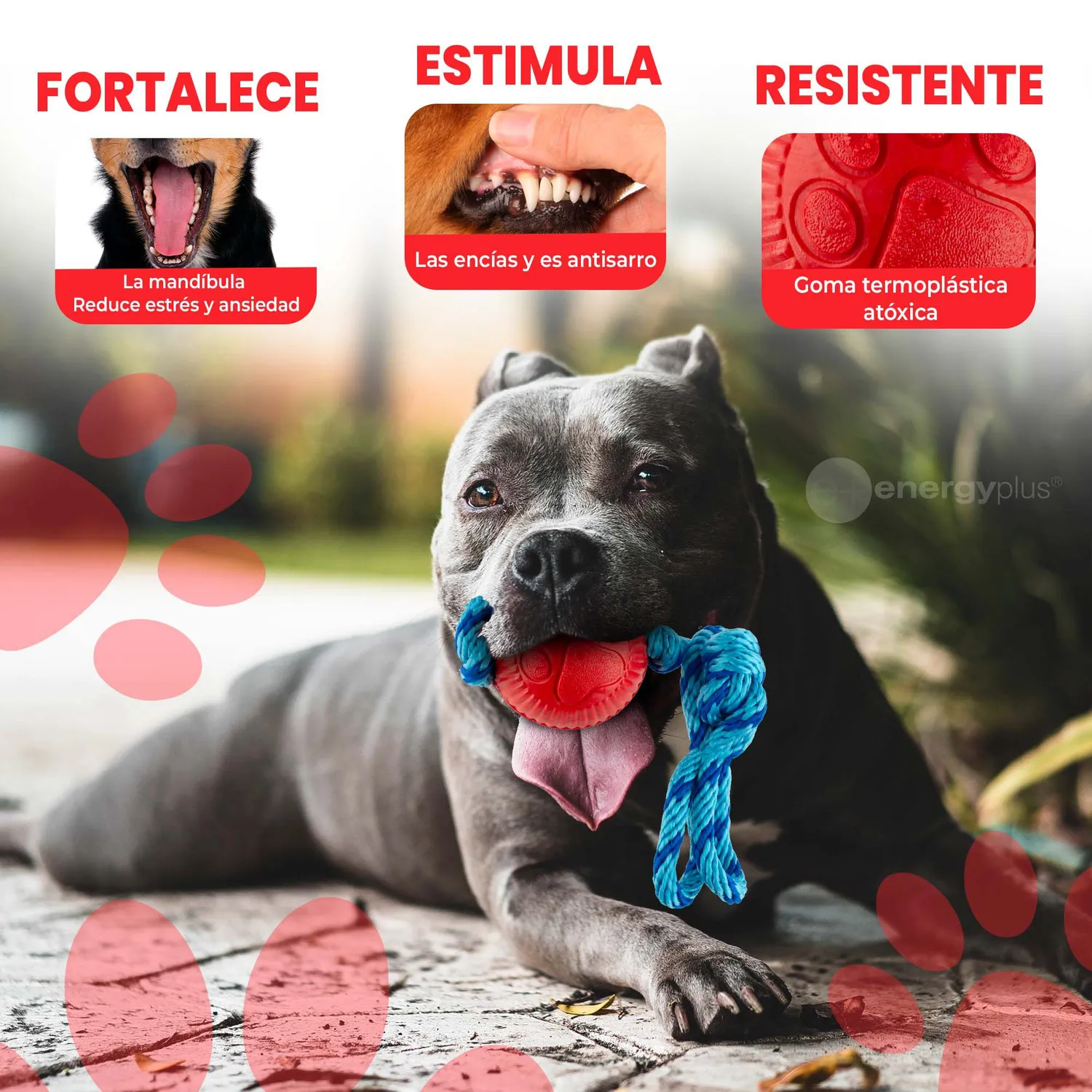 Juguete Para Perro Pelota Y Cuerda Med Rojo 3