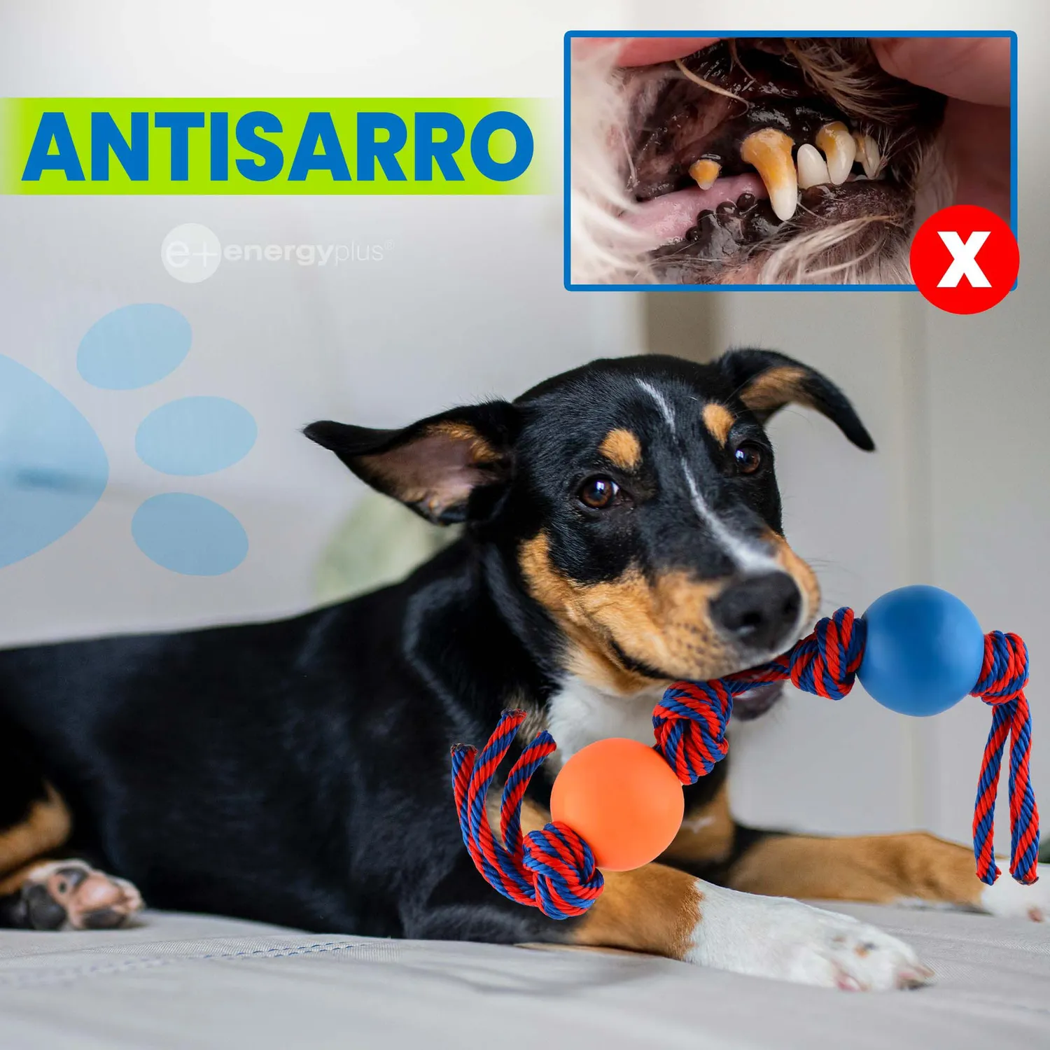 Juguete Para Perro Con Cuerda Y Pelotas Peq Naranja