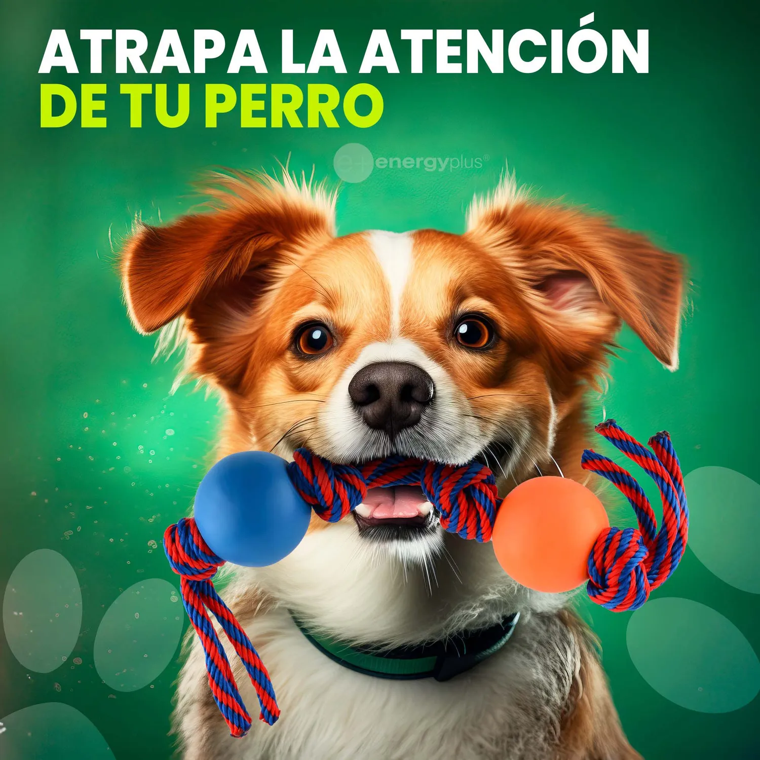 Juguete Para Perro Con Cuerda Y Pelotas Peq Naranja 4