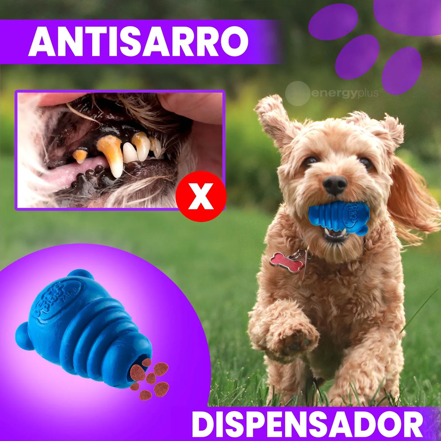 Juguete Para Perro Dispensador Pequeño Azul