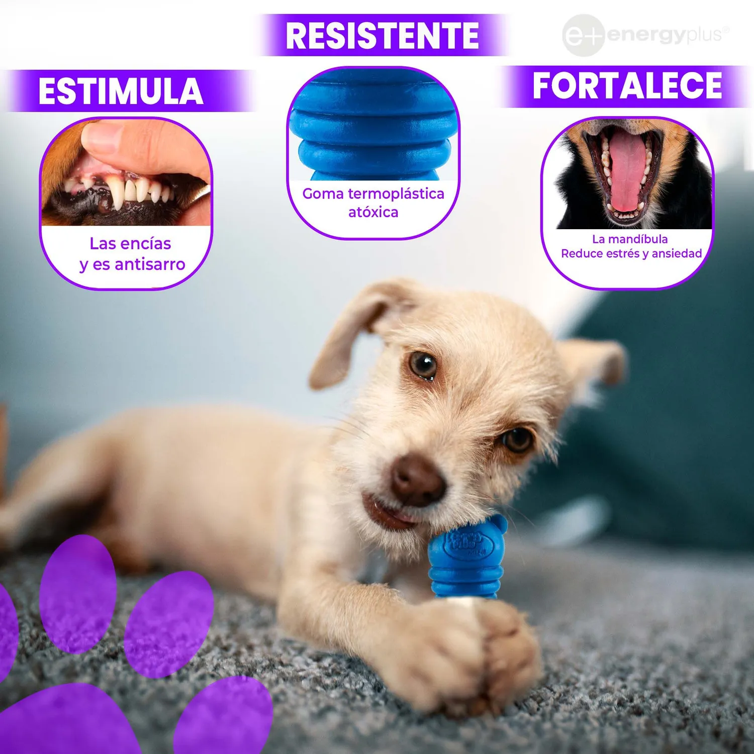 Juguete Para Perro Dispensador Pequeño Azul 3