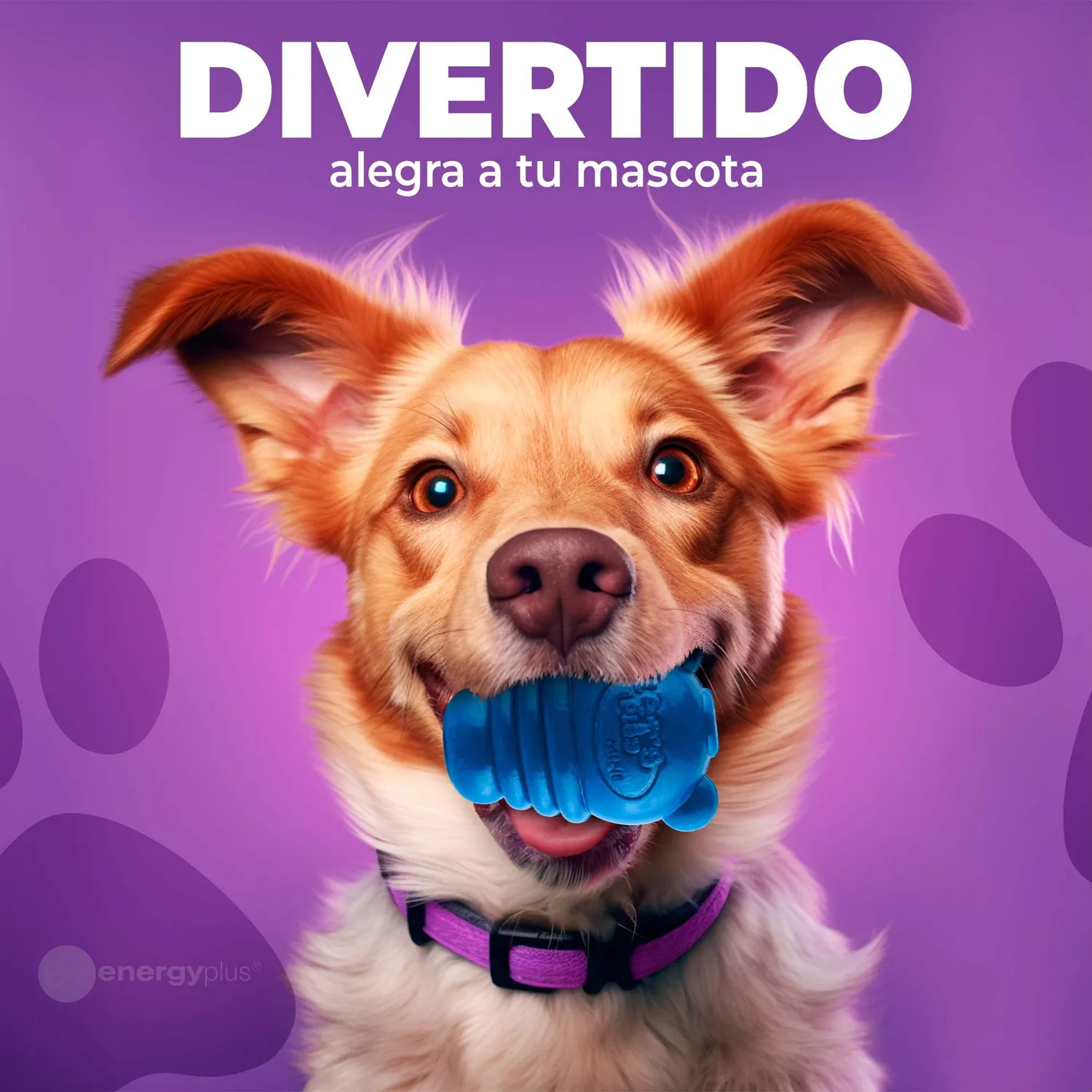 Juguete Para Perro Dispensador Pequeño Azul 4