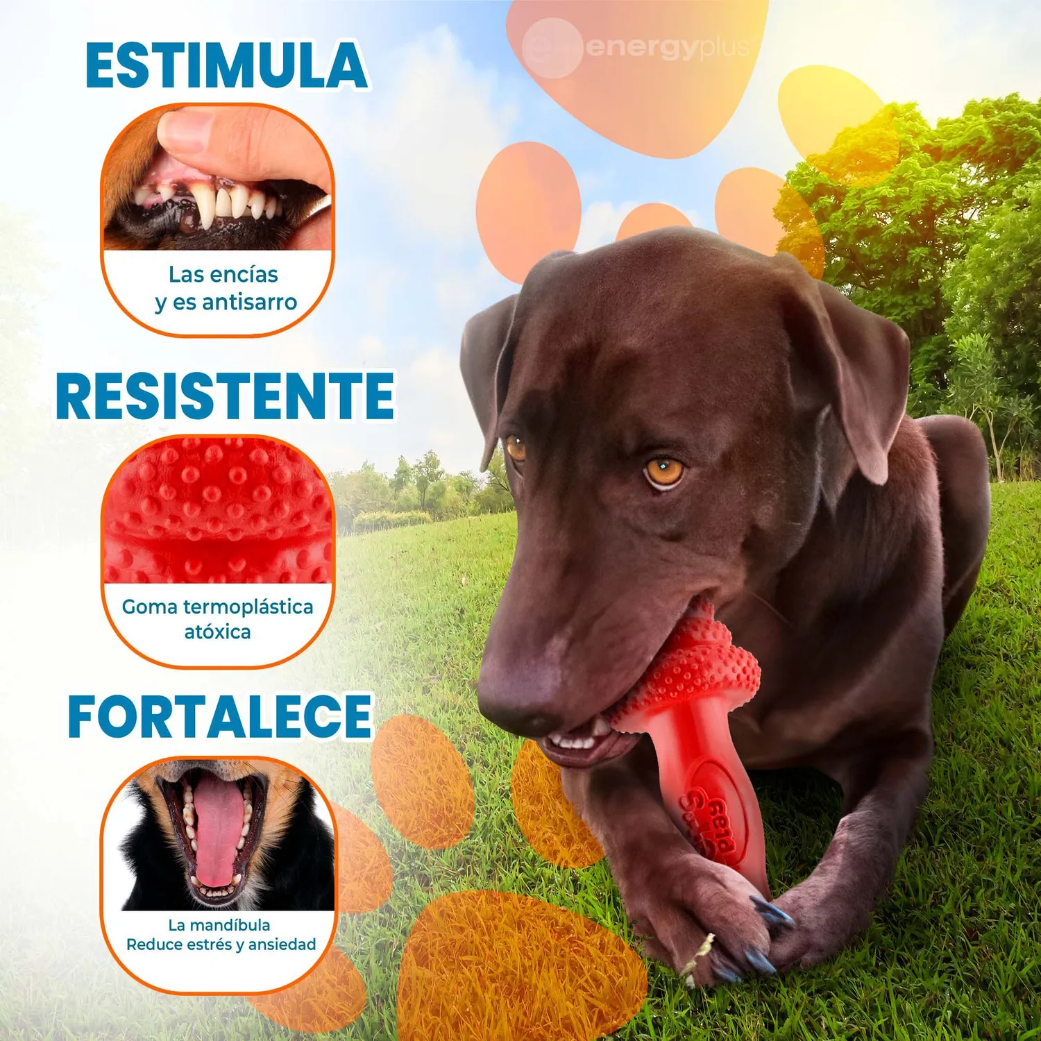 Juguete Para Perro Mordedor Pesa Maciza Grandes Rojo 3