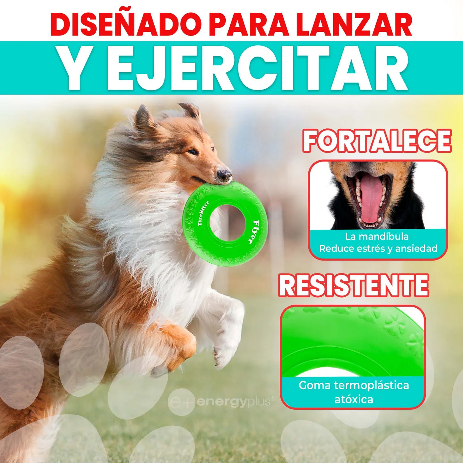 Frisbee Para Perro De Goma Segura Verde 3