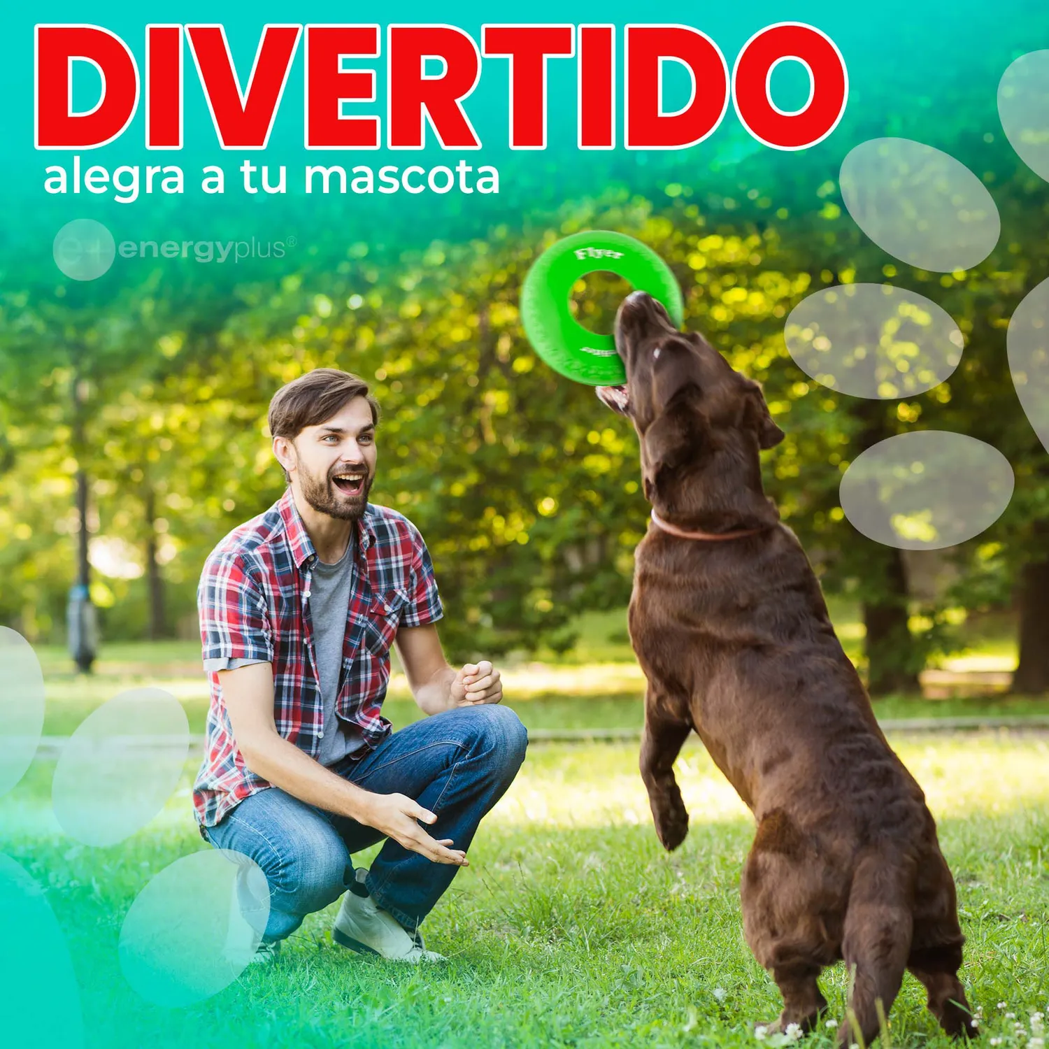 Frisbee Para Perro De Goma Segura Verde 4