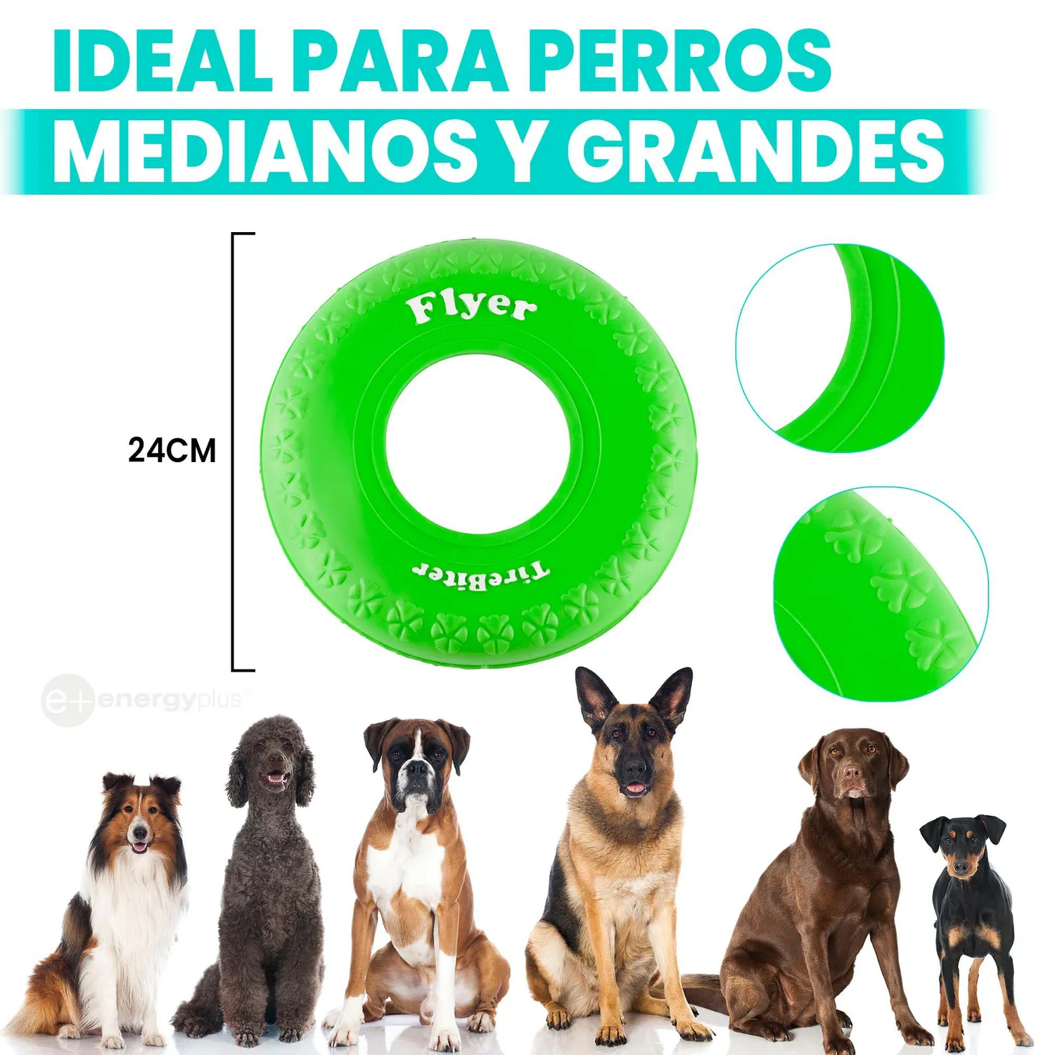 Frisbee Para Perro De Goma Segura Verde 5