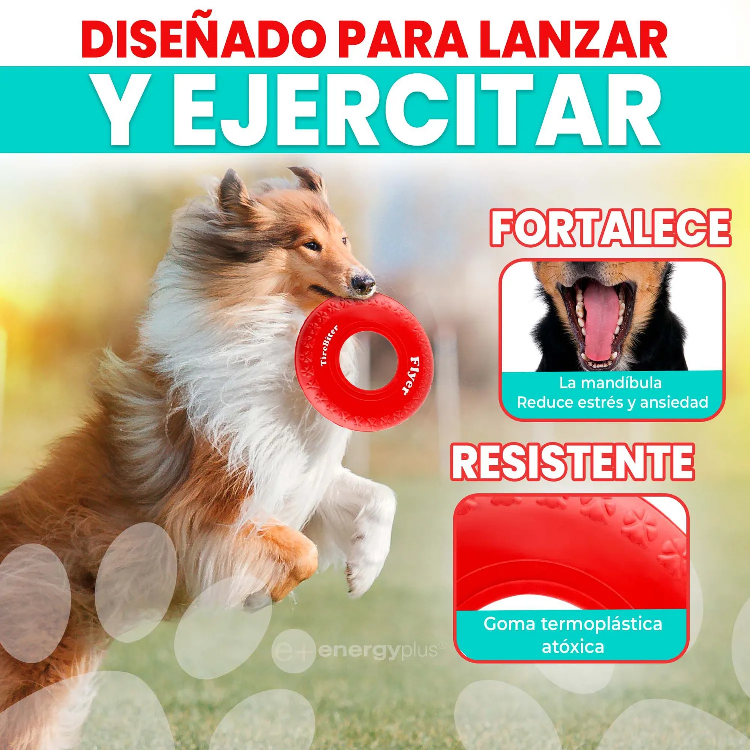 Frisbee Para Perro De Goma Segura Rojo 3