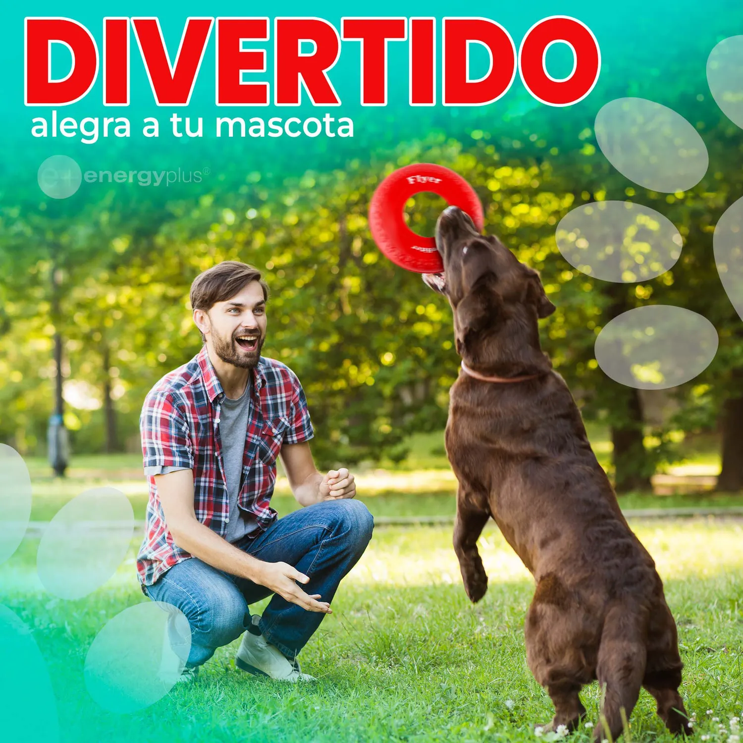 Frisbee Para Perro De Goma Segura Rojo 4
