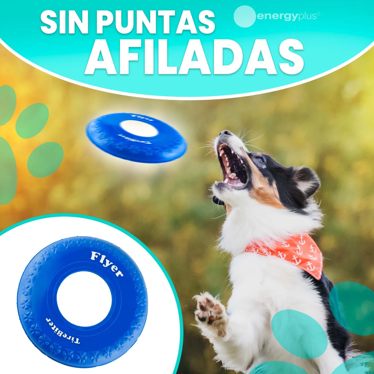 Frisbee Para Perro De Goma Segura Azul