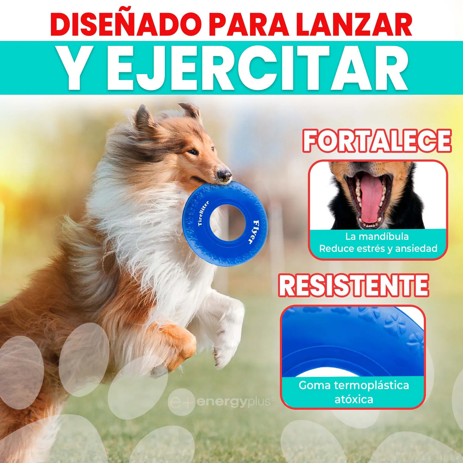 Frisbee Para Perro De Goma Segura Azul 3