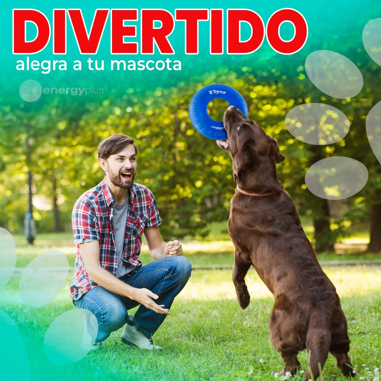 Frisbee Para Perro De Goma Segura Azul 4