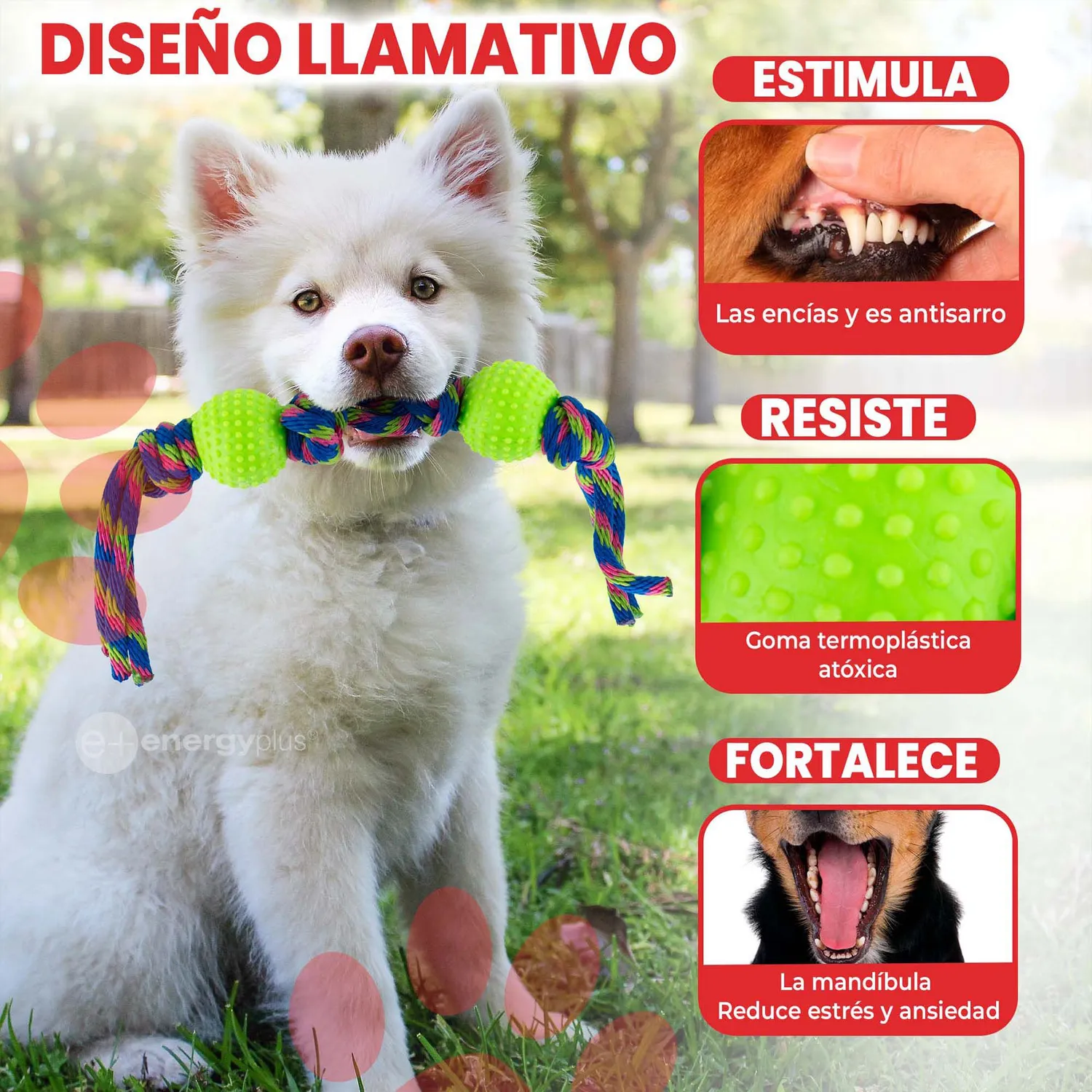 Juguete Para Perro Pelotas Y Cuerda Antisarro Verde 3