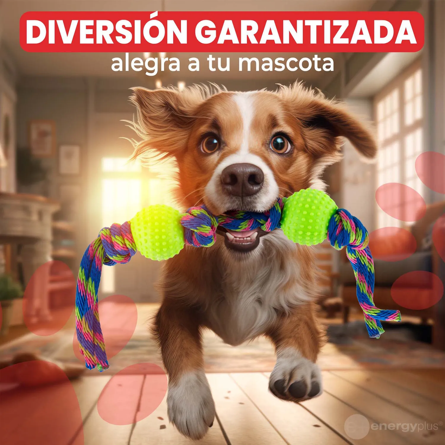 Juguete Para Perro Pelotas Y Cuerda Antisarro Verde 4