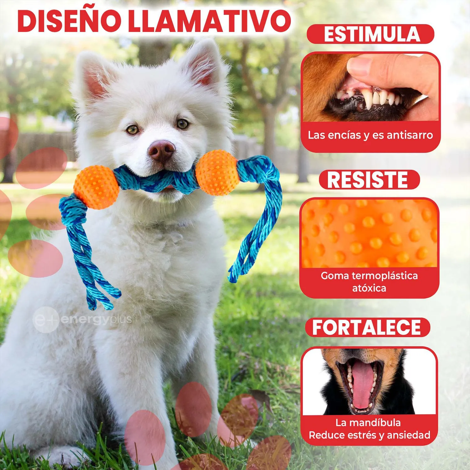 Juguete Para Perro Pelotas Y Cuerda Antisarro Naranja 3