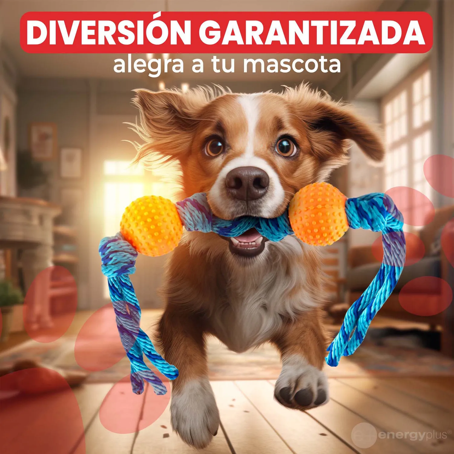 Juguete Para Perro Pelotas Y Cuerda Antisarro Naranja 4