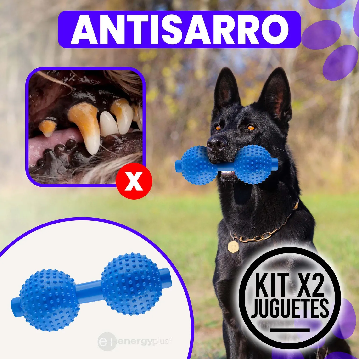 2 Juguetes Para Perro Mordedor Pesa Razas Medianas Grande Azul