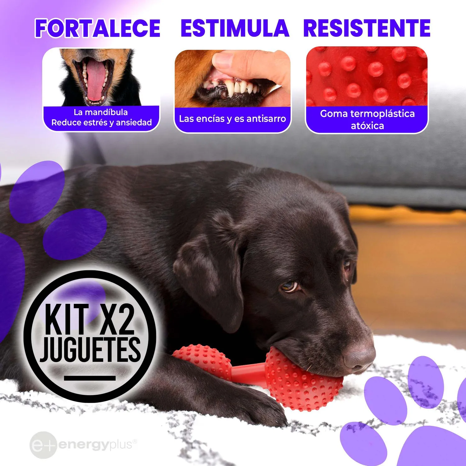 2 Juguetes Para Perro Mordedor Pesa Razas Medianas Grande Azul 3
