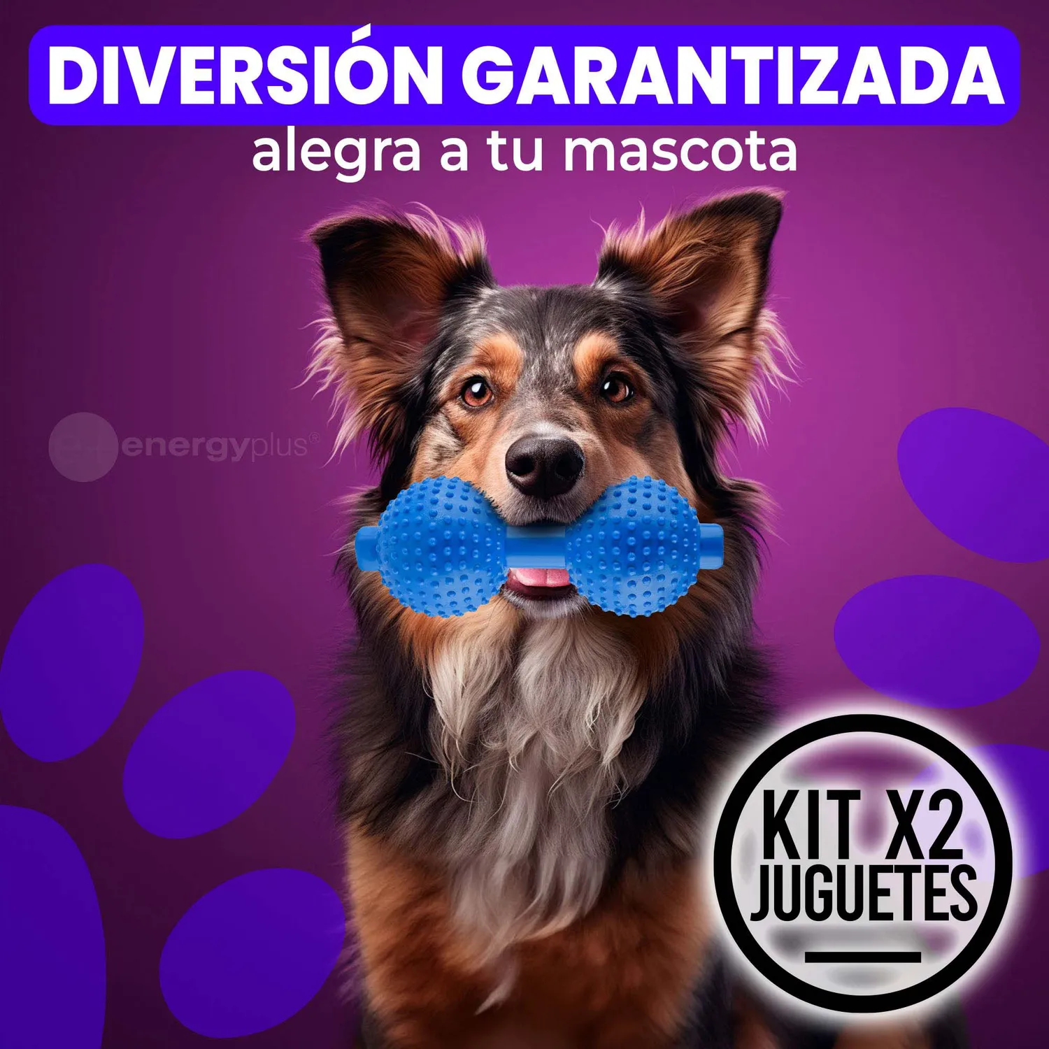 2 Juguetes Para Perro Mordedor Pesa Razas Medianas Grande Azul 4