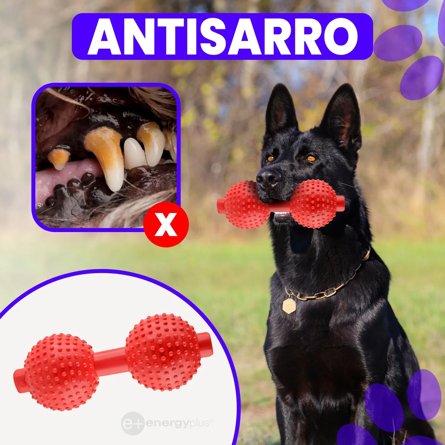 Juguete Para Perro Mordedor Pesa: Razas Medianas Grandes Rojo