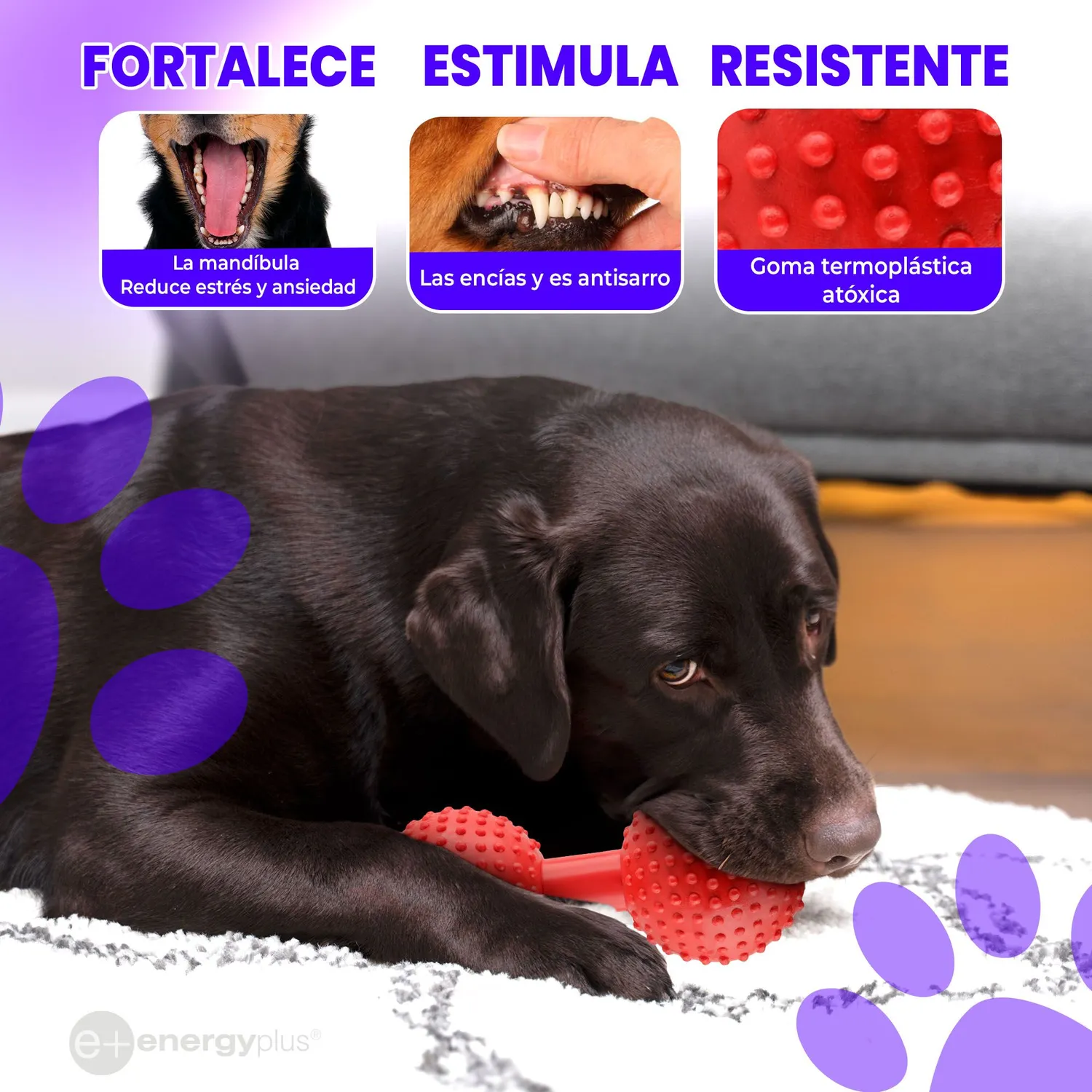 Juguete Para Perro Mordedor Pesa: Razas Medianas Grandes Rojo 3